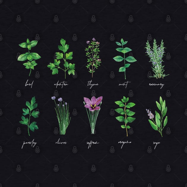 Botanical Herbs Botanical Boteny by uncommontee